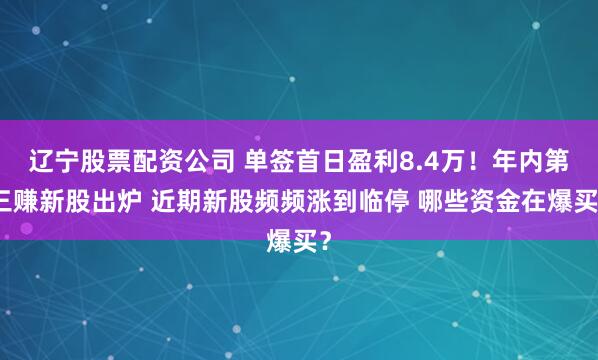 辽宁股票配资公司 单签首日盈利8.4万！年内第三赚新股出炉 近期新股频频涨到临停 哪些资金在爆买？