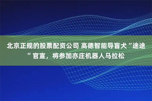 北京正规的股票配资公司 高德智能导盲犬“途途”官宣，将参加亦庄机器人马拉松